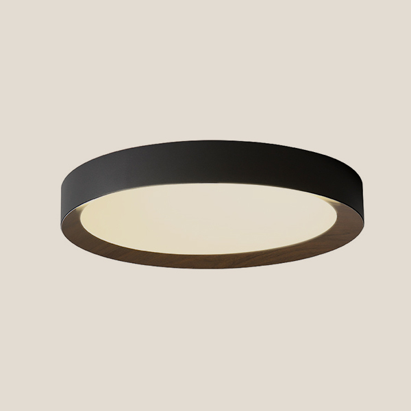 Round Room Led Ceiling Lamp